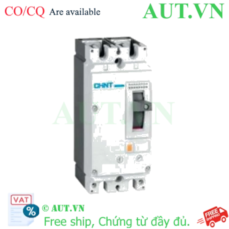 Ảnh của Áp-tô-mát khối MCCB CHINT NM8N-125C TM 100 2P 