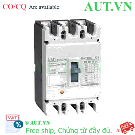 Ảnh của Áp tô mát khối điện áp 415-690VAC CHINT NM1-250R/3300 250A 