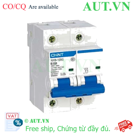 Ảnh của Áp tô mát cài CHINT NXB-125G 2P B100A 