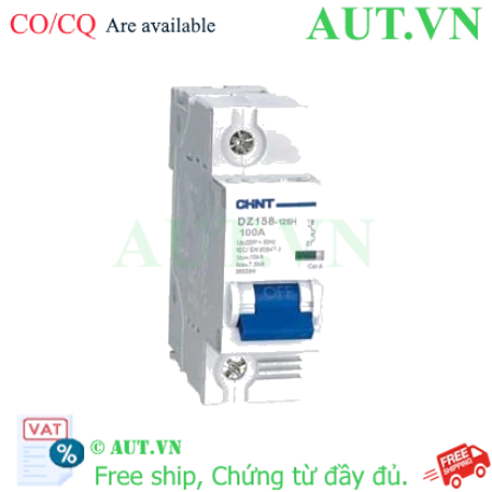 Ảnh của Aptomat cài (MCB) CHINT DZ158-125H 1P 100A 10kA 