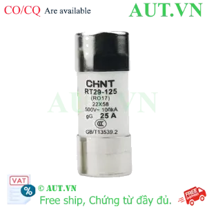 Ảnh của Cầu chì hình ống CHINT RT29-125 25A gG/gL 