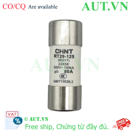 Ảnh của Cầu chì hình ống CHINT RT29-125 50A gG/gL 