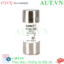 Ảnh của Cầu chì hình ống CHINT RT29-16 10A gG/gL 