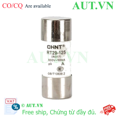 Ảnh của Cầu chì hình ống CHINT RT29-16 16A gG/gL 