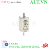 Ảnh của 1SCA022627R1630 – Cầu chì ABB OFAF00H125