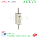 Ảnh của 1SCA022627R2790 – Cầu chì ABB OFAF0H63