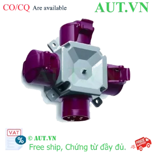 Ảnh của 2CMA168121R1000 – Phích cắm công nghiệp ABB 216T6 16A 200-250V 2P+E IP44