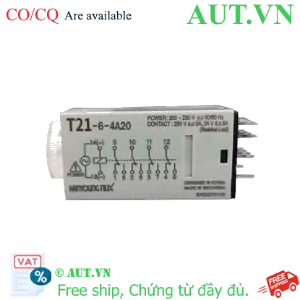 Ảnh của Timer Hanyong Nux T21-6-4D24