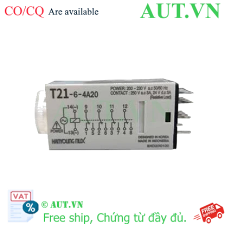 Ảnh của Timer Hanyong Nux T21-6-4D24
