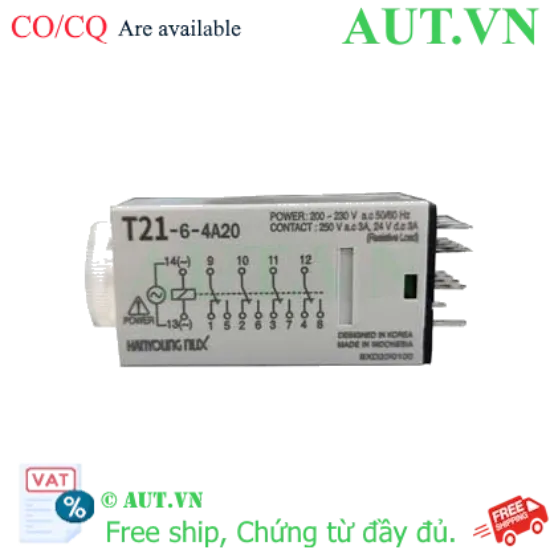 Ảnh của Timer Hanyong Nux T21-6-4D24