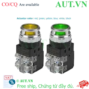 Ảnh của Công tắc nút nhấn Hanyong Nux CRX-P30MDY