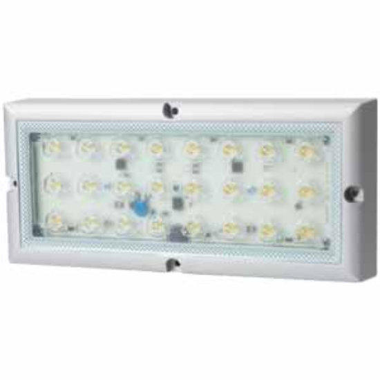 Ảnh của Đèn LED Qlight QMHL-250-D-24