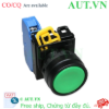 Ảnh của Nút nhấn nhả không đèn IDEC YW1B-M1E11G D22 1NO+1NC (Xanh)