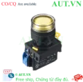 Ảnh của Nút Nhấn Có Đèn IDEC YW1L-MF2E11QM3Y | Phi 22mm, 1NO+1NC, Vàng (230VAC)