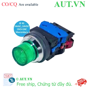 Ảnh của ALN22211DNG nút nhấn nhả có đèn IDEC, 24VAC/DC, xanh