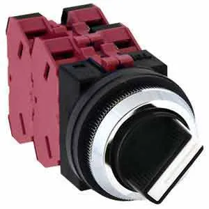 Ảnh của Chuyển mạch 3 vị trí tự hồi IDEC ASN3104N D30 4NC