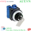 Ảnh của Công tắc chìa khóa 2 vị trí IDEC ASN22K20N-NO24401 D30 2NO