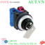 Ảnh của Công tắc chìa khóa 2 vị trí IDEC ASN2K11NB-NO24401 D30 1NO+1NC