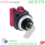 Ảnh của Công tắc chìa khóa 3 vị trí IDEC ASN32K02N-NO24401-MAU D30 2NC