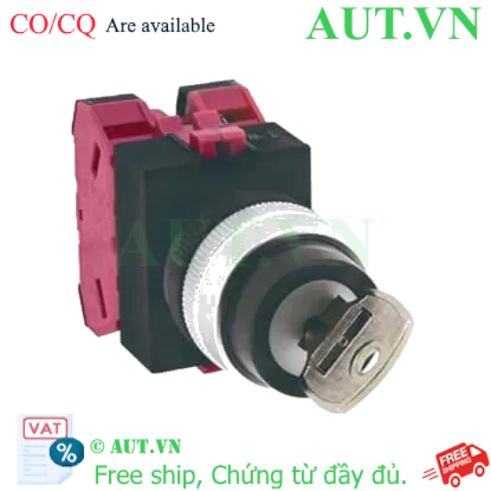 Ảnh của Công tắc lựa chọn loại chìa khóa IDEC ASW33K02 