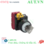 Ảnh của Công tắc xoay chìa khóa D22 IDEC YW1K-2AE02 