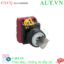 Ảnh của Công tắc xoay chìa khóa D22 IDEC YW1K-31BE03 