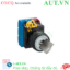 Ảnh của Công tắc xoay chìa khóa D22 IDEC YW1K-31BE21 
