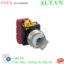 Ảnh của Công tắc xoay chìa khóa D22 IDEC YW4K-33DE02N1 
