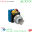 Ảnh của Công tắc xoay chìa khóa D22 IDEC YW4K-33DE21 