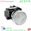 Ảnh của Đèn báo phi 22 IDEC YW1P-1EM2W 