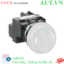 Ảnh của Đèn báo phi 22 IDEC YW1P-2EQHW 