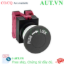 Ảnh của Nút ấn IDEC AJW402B .