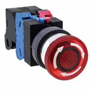 Ảnh của Nút ấn IDEC AVLS31622DNR .