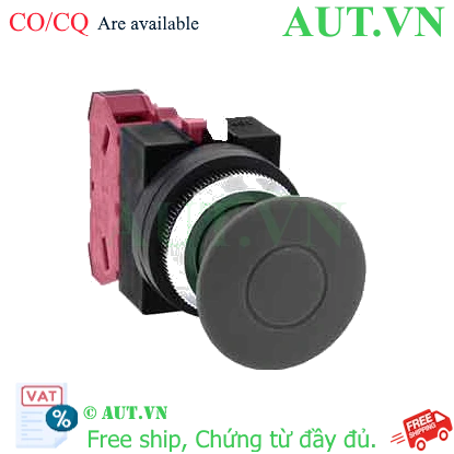 Ảnh của Nút ấn IDEC AYS3101NB .