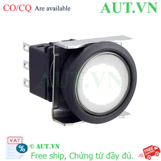 Ảnh của Nút ấn IDEC LBW6L-A1T21PW .