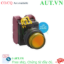 Ảnh của Nút ấn IDEC YW1L-A2E02Q2A .