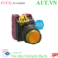 Ảnh của Nút ấn IDEC YW1L-A2E02Q5A .