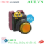 Ảnh của Nút ấn IDEC YW1L-A2E02Q6A .