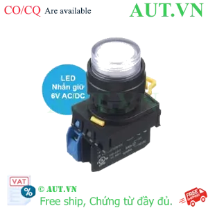 Ảnh của Nút ấn IDEC YW1L-A2E10Q2PW .