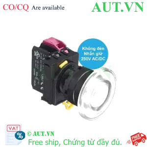Ảnh của Nút ấn IDEC YW1L-A4E01Q0W .