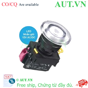 Ảnh của Nút ấn IDEC YW1L-A4E01Q3PW .