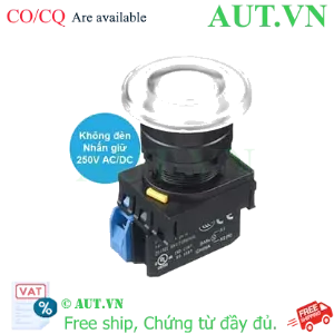 Ảnh của Nút ấn IDEC YW1L-A4E10Q0W .