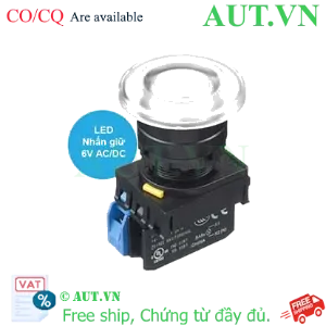 Ảnh của Nút ấn IDEC YW1L-A4E10Q2W .