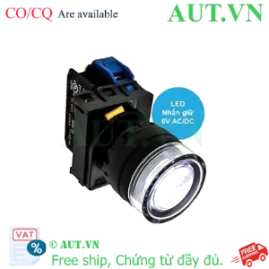 Ảnh của Nút ấn IDEC YW1L-AF2E10Q2W .