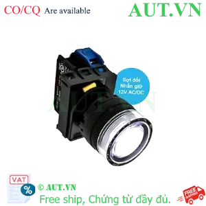 Ảnh của Nút ấn IDEC YW1L-AF2E10Q6W .