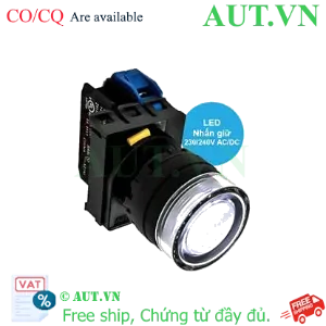 Ảnh của Nút ấn IDEC YW1L-AF2E10QM3W .