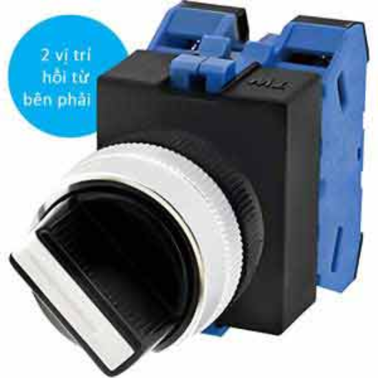 Ảnh của Chuyển mạch 2 vị trí tự hồi IDEC ASW2120 D22 2NO