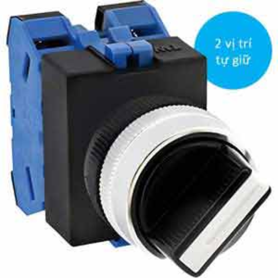 Ảnh của Chuyển mạch 2 vị trí tự giữ IDEC ASW220 D22 2NO