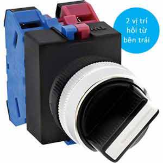 Ảnh của Chuyển mạch 2 vị trí tự hồi IDEC ASW2211 D22 1NO+1NC