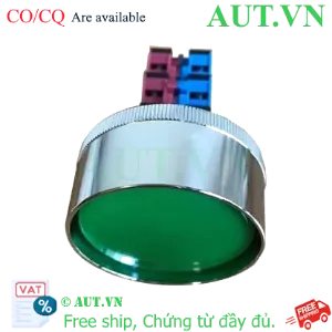 Ảnh của Nút ấn nhả ABN4F22G IDEC, D30, 2NO+2NC, màu xanh